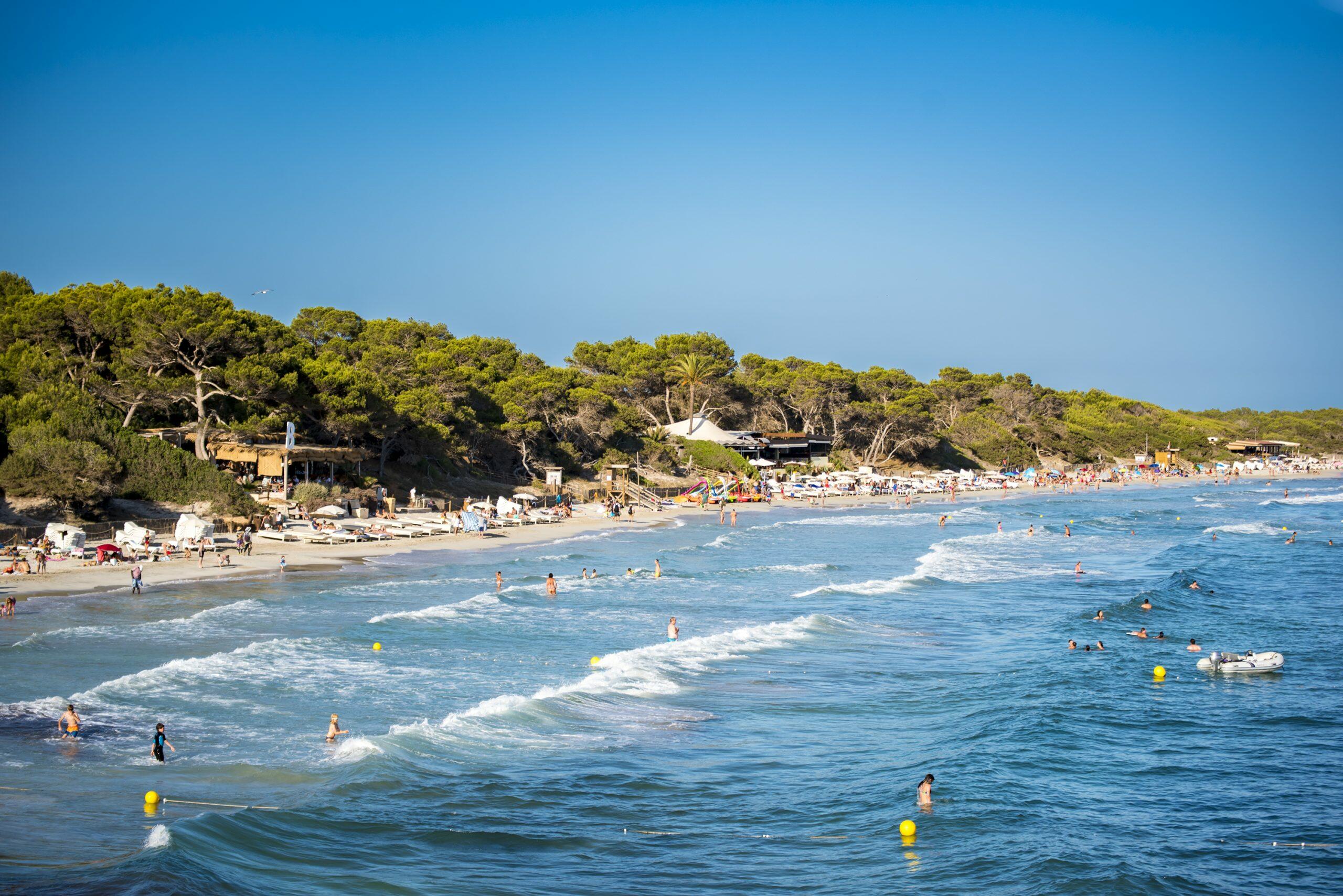 Playa de Ses Salines, Ibiza, con bañistas en olas turquesas y tumbonas a lo largo de una orilla arenosa respaldada por pinos.