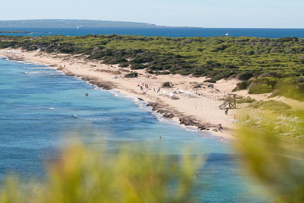 Ses Salines - comprar una propiedad en Sant Josep