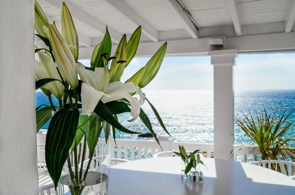 Club de playa de algodón en Ibiza verano 2020