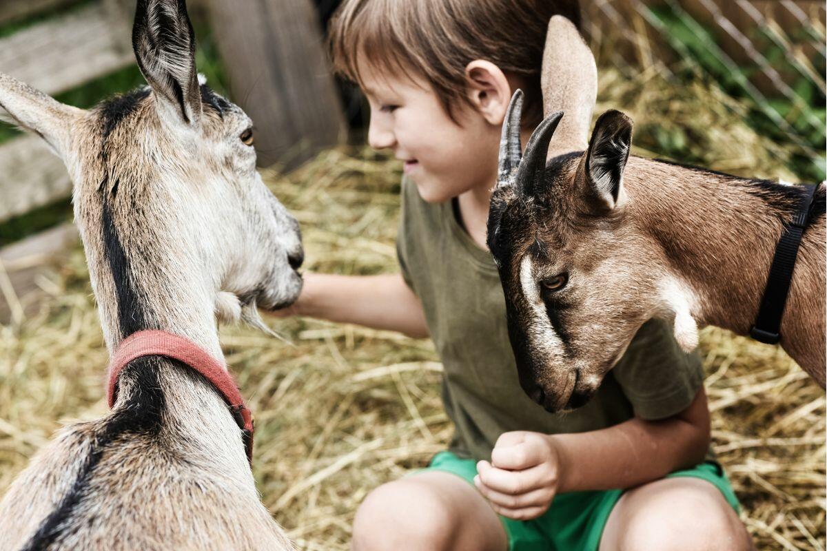 Granja Ecológica Can Muson Ibiza