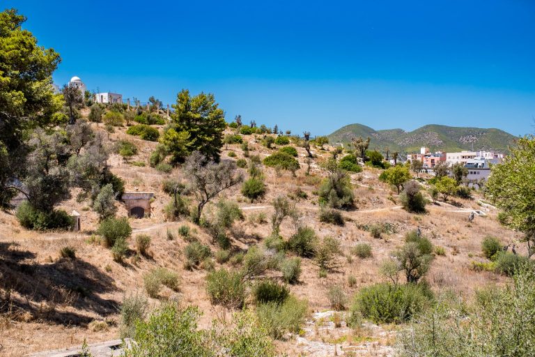 Museo Monográfico del Puig des Molins
