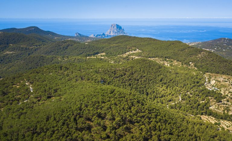 Propiedades en venta y en alquiler en San José de Sa Talaia