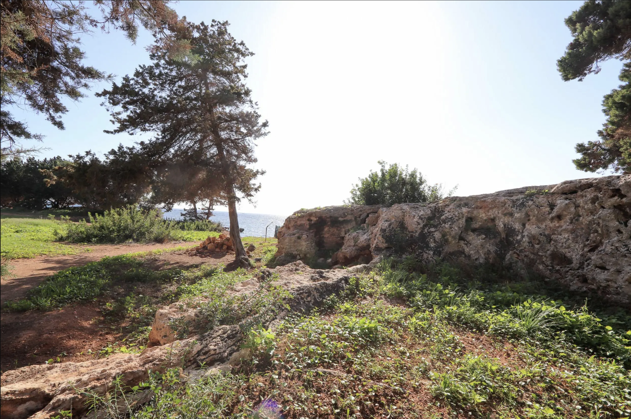 Terreno en venta Ibiza Terreno Martina