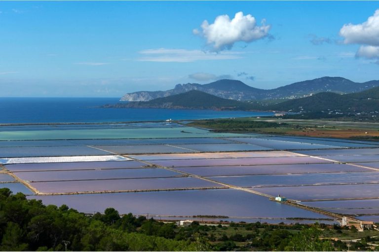 Vivir en Ibiza: La vida en Las Salinas