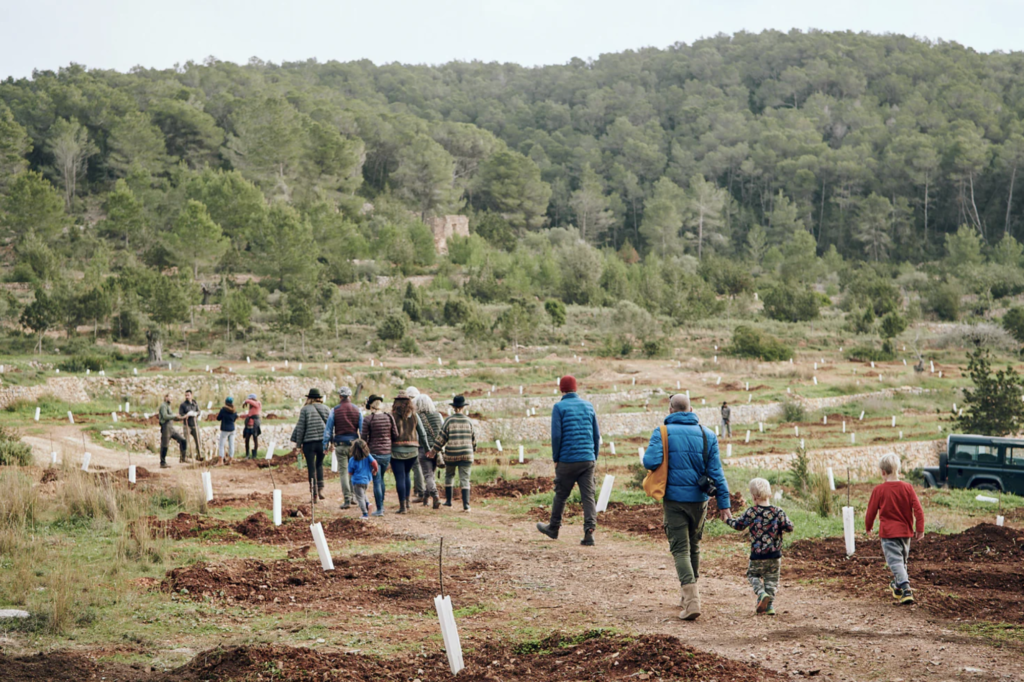 invierno en Ibiza - Juntos farm Ibiza